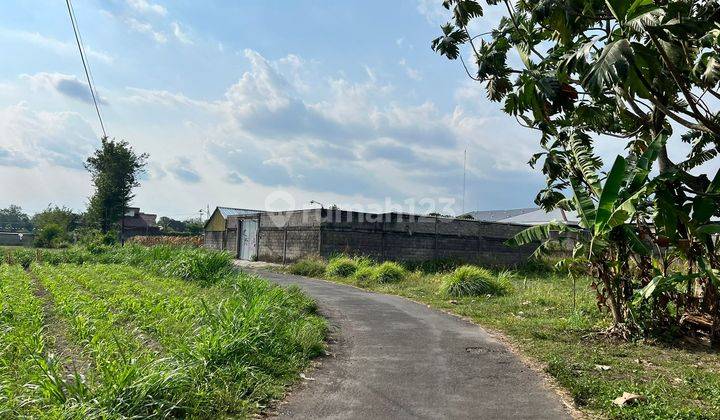 100 Meter Warung Watoe Gadjah, Tanah Shm Pekarangan 2