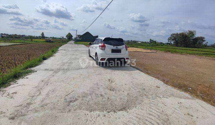 Tanah Cupuwatu, SHM: Cocok Untuk Hunian di Jogja 2