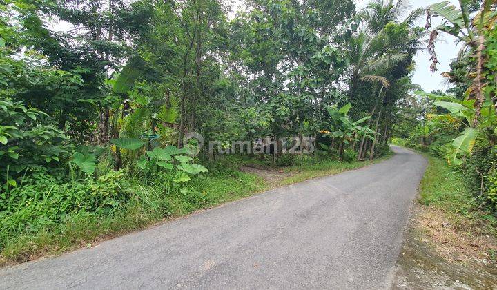 10 Menit Kampus UMY Tanah Kavling Kasihan, Bantul 2