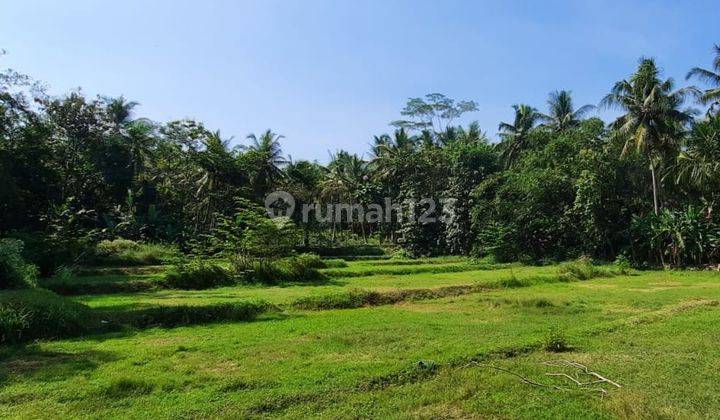 Tanah Strategis Nanggulan, Kavling Jogja Barat, Siap Bangun 2