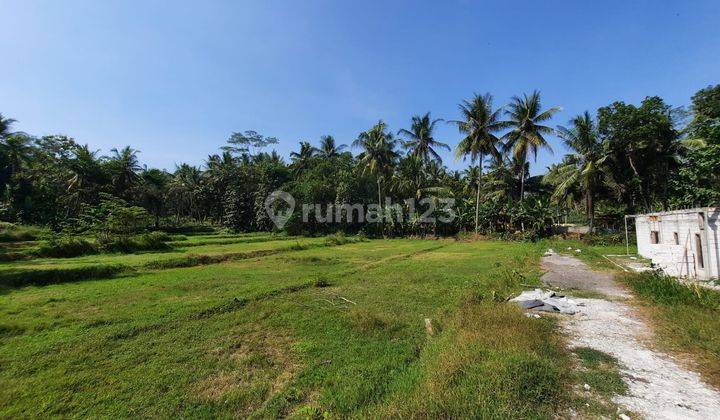 Tanah Nanggulan Cocok untuk Hunian, Villa/Homestay, dan Investasi 2