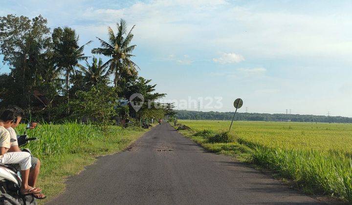 Tanah Sentolo Luas 147 m²: Kawasan Strategis, Siap AJB 1