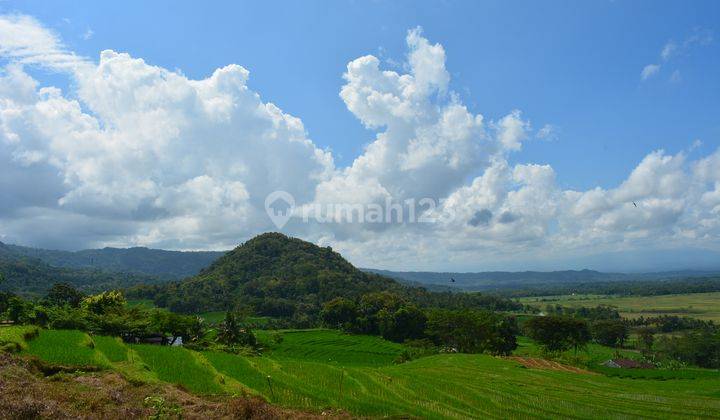 Tanah Menoreh Lahan Datar, Cocok Villa : SHM, Siap AJB 1