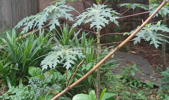 Land on Jalan Ciater Raya