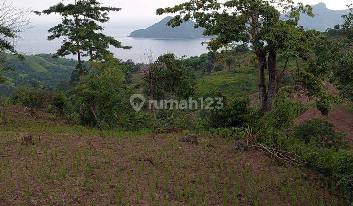 Tanah kavling cantik view lepas pantai 360° di Desa Buwun Mas Lombok Nusa Tenggara Barat  2