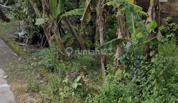 TANAH MURAH DI GODEAN LINGKUNGAN PADAT RAMAI & NYAMAN 2