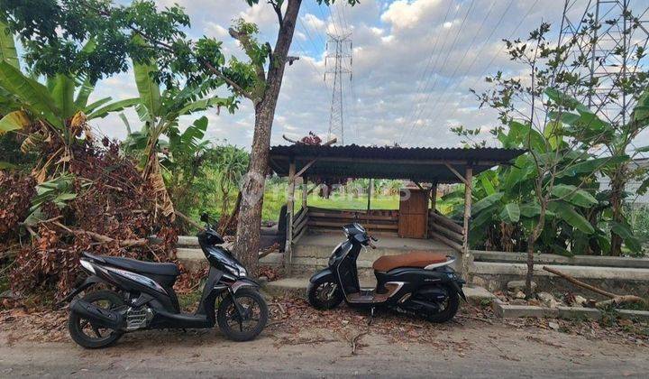 TANAH MURAH DEKAT RINGROAD SELATAN SANGAT COCOK UNTUK GUDANG  1