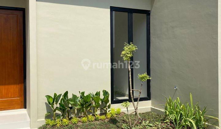 Rumah Nyaman Dekat Uns Dengan Harga Terjangkau 2