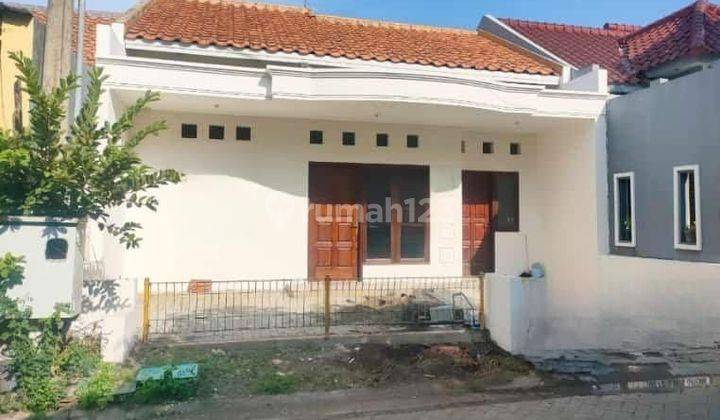 Murah Rumah Siap Huni Bukit Palma Citraland dkt Pakuwon [389] 2