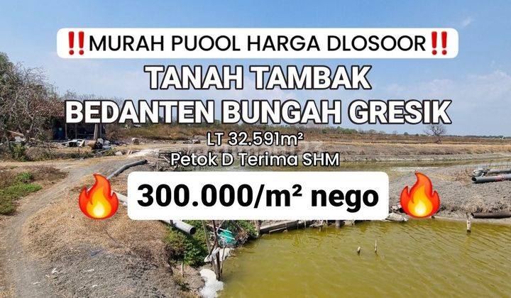 Tanah Tambak Kelurahan Bedanten Kecamatan Bungah Gresik [579]
 1