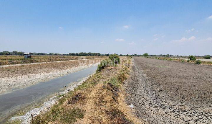 Tanah Nol Jln Betoyoraya Kel Betoyo Kauman Kec Manyar Gresik[578] 2