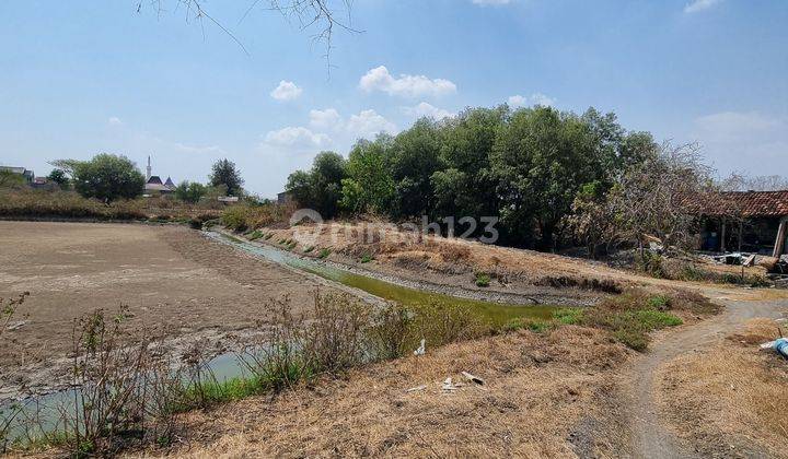 Tanah Tambak Kelurahan Bedanten Kecamatan Bungah Gresik [579]
 2