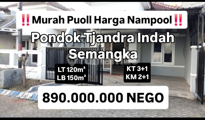 Ready-to-Occupy House Pondok Tjandra Indah Cluster Semangka Waru [738] 2