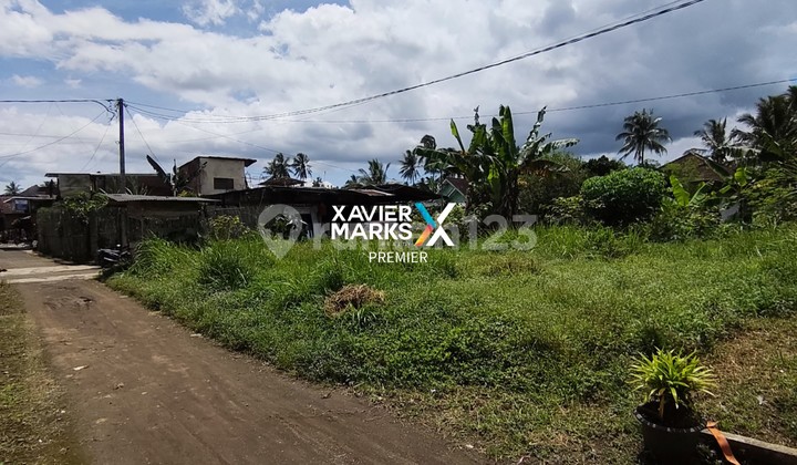 Tanah Kavling Strategis di Sumberayu, Dampit - Kab. Malang