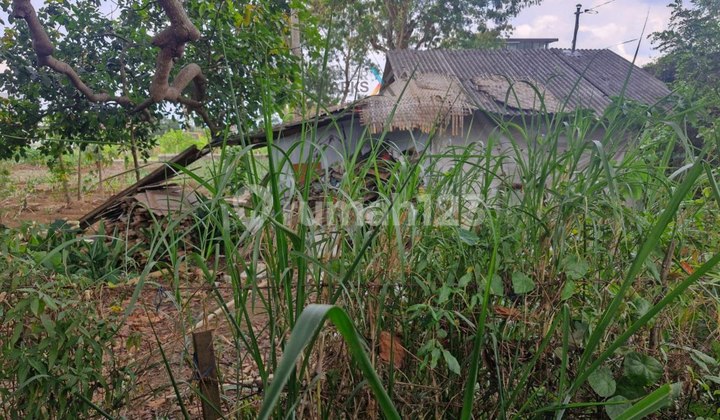 Hot Investment Land For Sale At Abdul Gani Batu