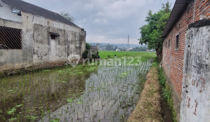 Tanah Di Pakis Dekat Exit Tol Cocok Untuk Gudang Dan Lainnya