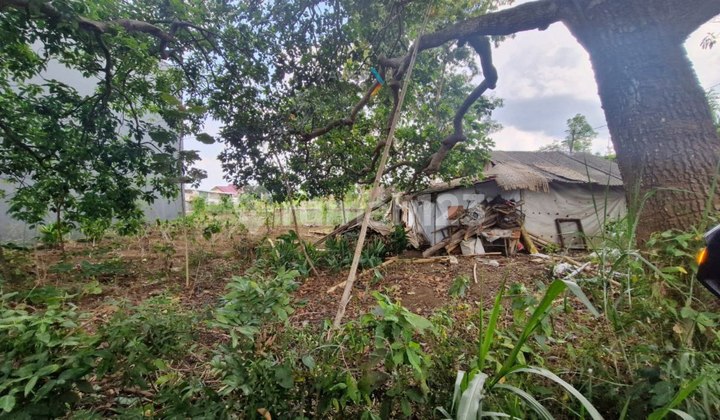 Hot Investment Land For Sale At Abdul Gani Batu