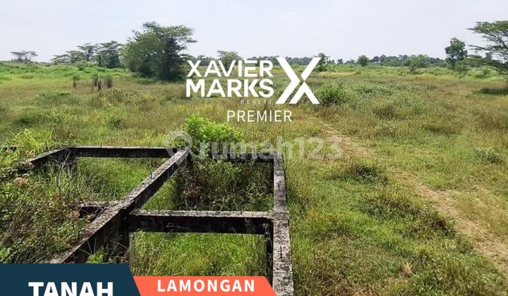 Tanah Luas Siap Bangun di Raya Mantup Lamongan