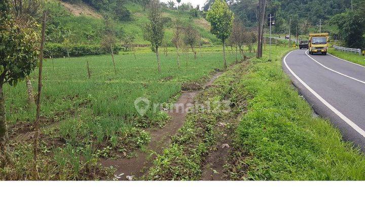 Tanah Luas Di Brigjen Abdul Manan Wijaya Malang Batu(ID1152) 1