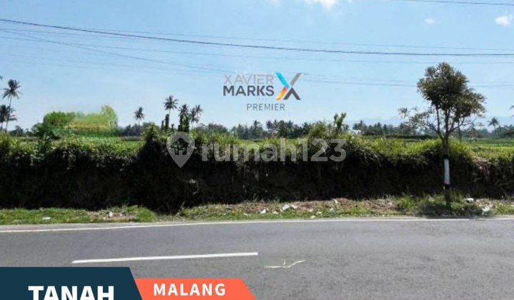 Tanah Pertanian Poros Jalan Aspal di Banjarejo Pakis Malang