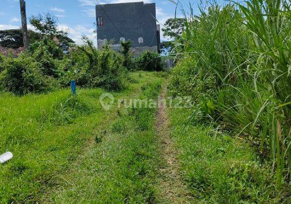 Tanah Kavling Luas Dan Lokasi Strategis Di Pakis, Malang Id482  2