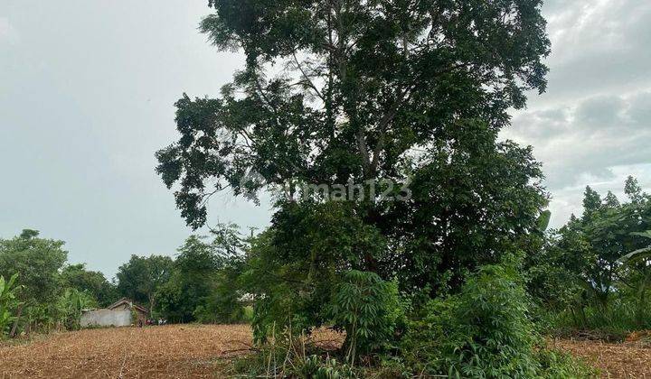 Tanah Siap Bangun Akses Jalan Lebar Di Kota Agung Tegineneng, Lampung Id556  2