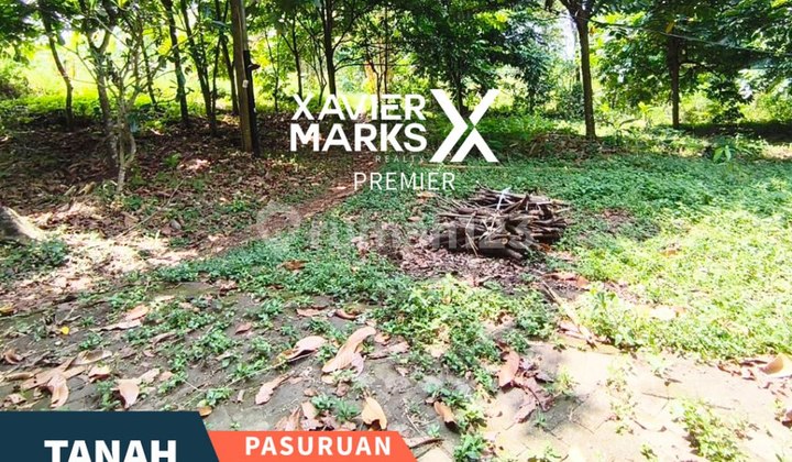 Tanah Berkontur dengan View Gunung di Prigen, Pasuruan