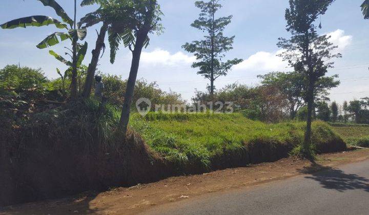 Tanah Strategis Luas Di Jl Karang Ampel Timur Dau Malang Id830  2