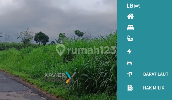 Kavling Cocok Buat Gudang atau Gor di Daerah Pakis Malang(Id1384)