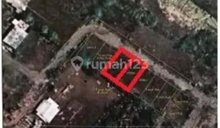 Tanah Murah Di Tirtomoyo, Pakis Malang(ID1411)