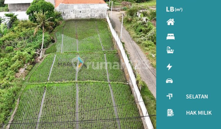 Tanah Kavling di Jalan Kyai H. Yusuf Tasikmadu Malang(Id1398)