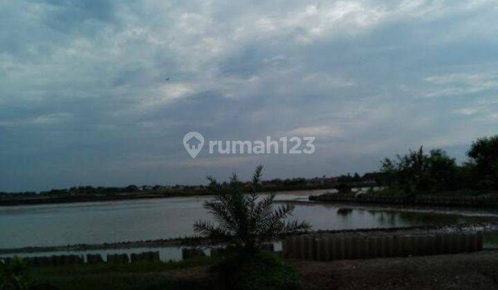 Dijual Tanah Tambak Panen Rame Strategis Pakis Karawang 2