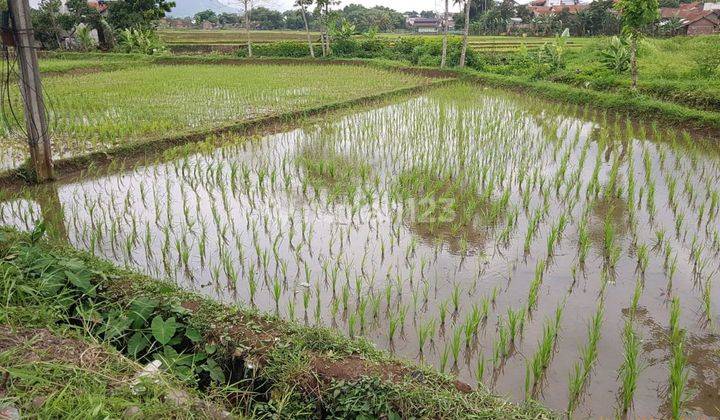 Dijual Cepat Lahan Strategis di Pinggir Jalan Raya Untuk Komersil,  2