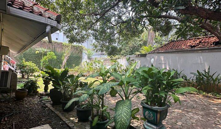 Rumah Vintage Terawat, Siap Huni, Shm Menteng 1