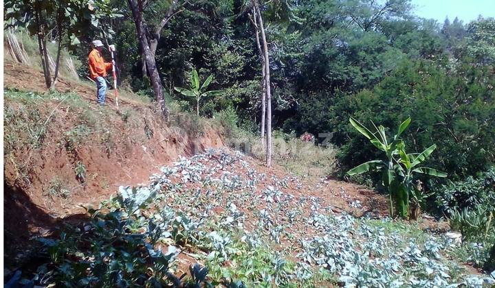 Vacant Land Plot LT 2000 m2 SHM Dago, Bandung Vacant Land Plot LT 2000 m2 SHM Dago, Bandung