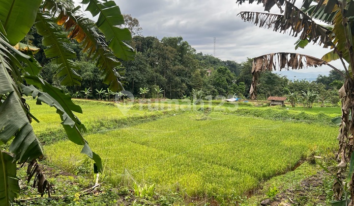 Kavling 3.4 Ha Besar .Disekitar Bogor dan Rancamaya Daerah Jang Sejuk dan Nyaman