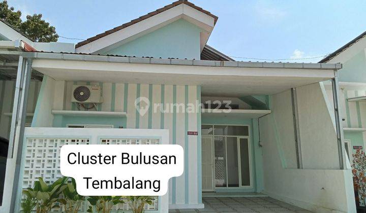 Disewakan Rumah Bagus Minimalis Bulusan Tembalang (dekat UNDIP)
 1