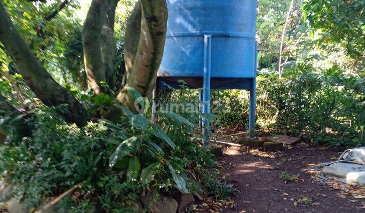 Dijual Tanah Dengan  Kebun Buah Pekapuran Cimanggis Depok 2