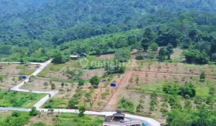 Tanah Kavling Agrowisata Durian Terluas di Bogor Timur 2