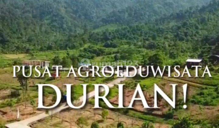 Investasi Tanah Kavling Vila Dan Agrowisata Untuk Warga Tangerang 1