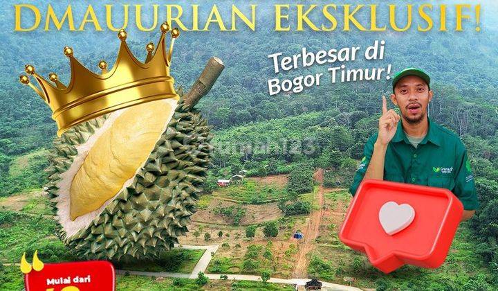 Tanah Kavling Wisata Durian Granada Garden Vile Bogor  1