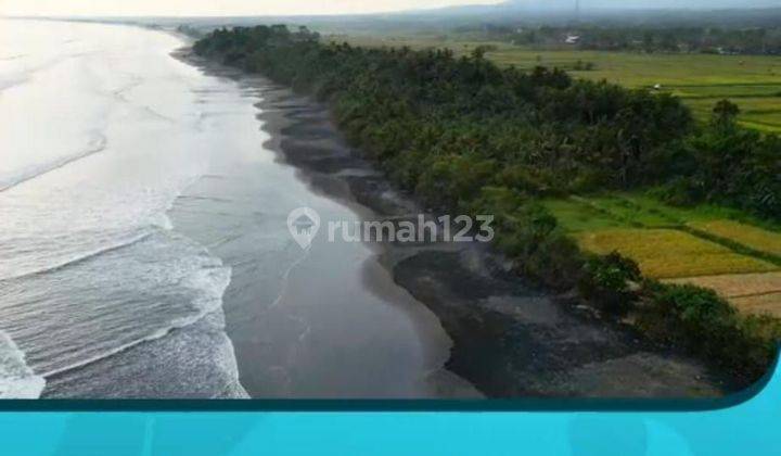 Tanah Kavling Vilatel di Jembrana Bali View Ocean dan Persawahan 1