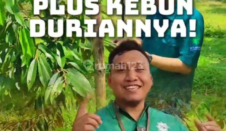 Kavling Vila dan Kebun Agrowisata Durian Terbesar Bogor Timur  2