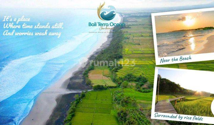 Jual Tanah Kavling Eksklusif Pinggir Pantai Jembrana Bali 2