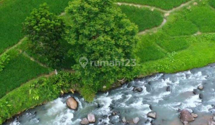 Tanah Kavling Vila dan Wisata Sungai di Anyer Serang Banten 2