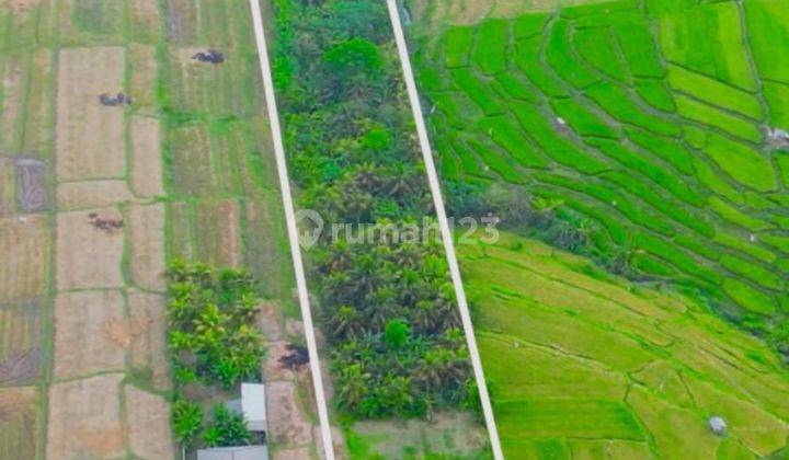 Tanah Kavling Siap Bangun View Ocean Jembrana Bali 2