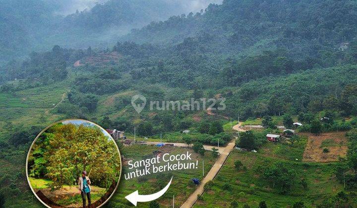 Tanah Kavling di Bogor untuk Vila dan Kebun View 360 Pegunungan 1