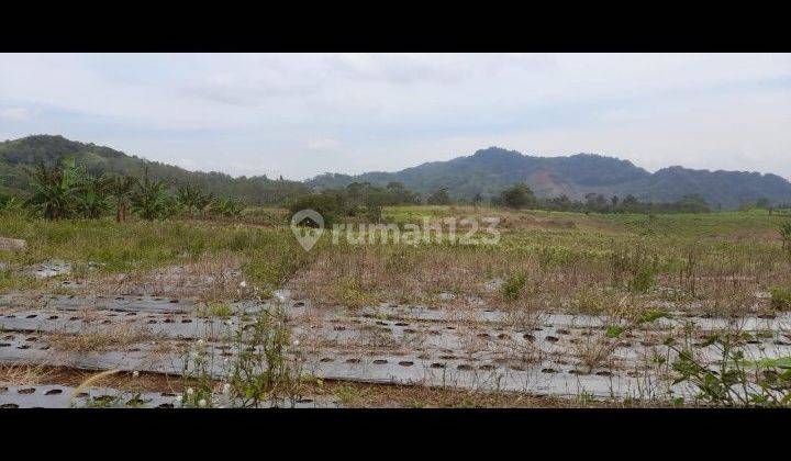 TANAH 15 HEKTAR DI NEGLASARI NYALINDUNG BAROS SUKABUMI 1