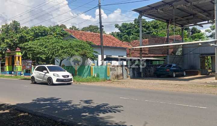 Tanah Kotak 1000M2 di Jl Raya Pati Tayu Ngemplak Pati Jawa Tengah