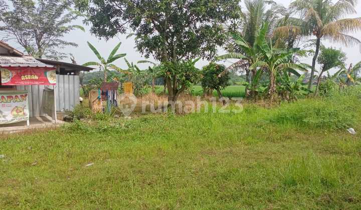 Di Jual Tanah 2 Ha di Singgasari Jonggol